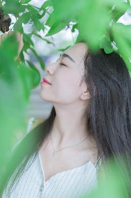 成全在线观看高清全集